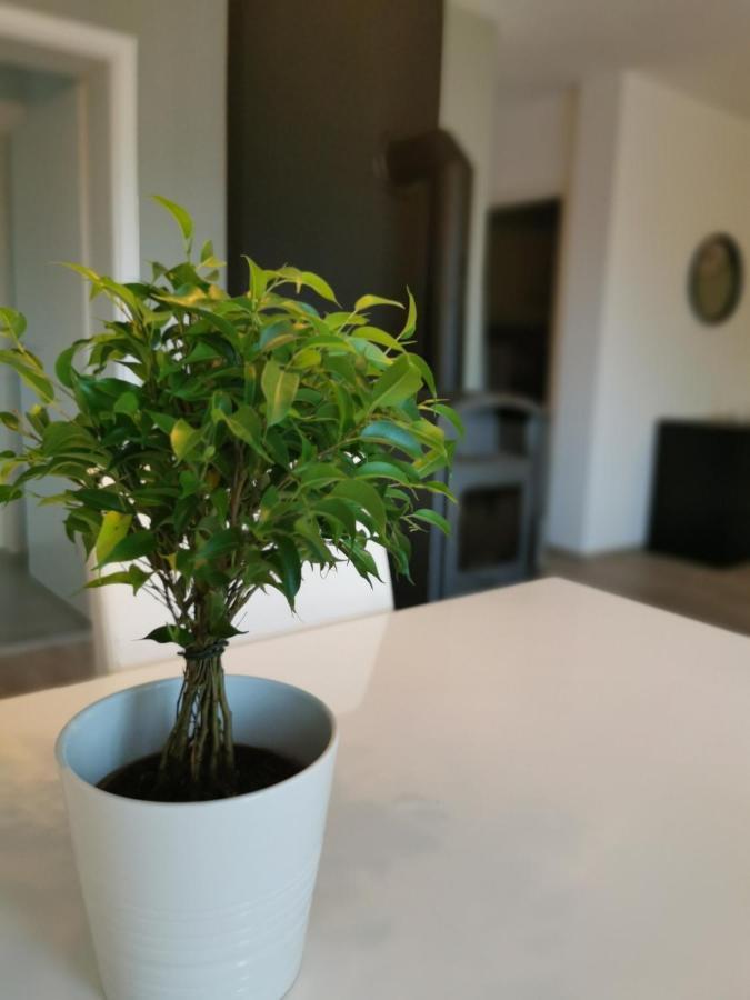 Ferienwohnung Auf Villa Hendschhof Sankt Wendel Eksteriør billede
